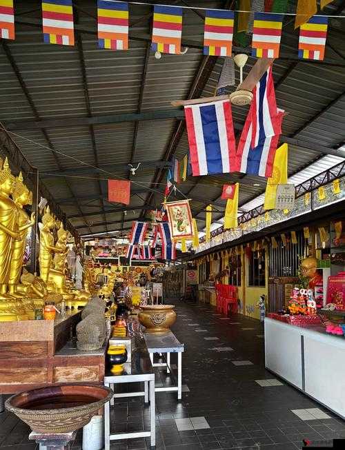 东南亚婎妓仙踪林:揭秘东南亚神秘的性旅游胜地