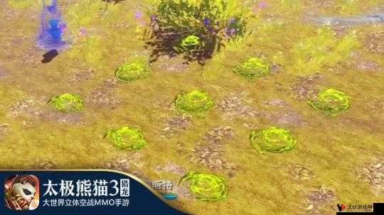 太极熊猫3猎龙,解锁南瓜盛宴的奇幻之旅——南瓜之谜全揭秘