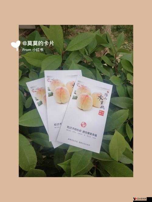 水蜜桃一卡 2 卡 3 卡 4 卡:关于水蜜桃各种卡的详细介绍