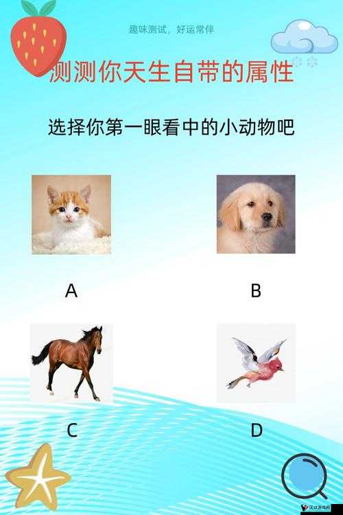 人 C 交往 Z〇〇Z〇〇类别的独特之处与相关探讨