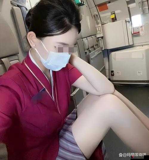 空姐的喘息玛丽莲免费观看:揭秘空乘行业的秘密