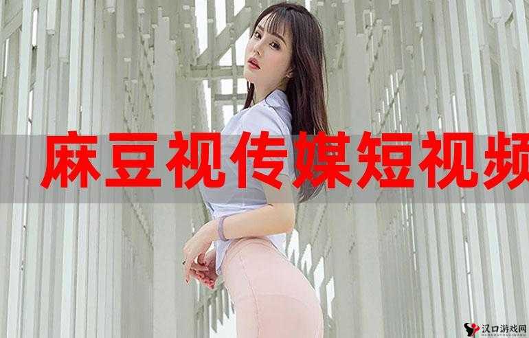 麻花豆传媒MV在线观看网站:一个提供丰富MV资源的平台