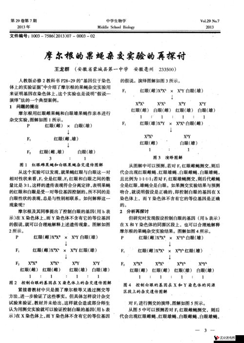 关于 caopormm 的相关探讨与分析
