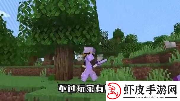 暴躁老外玩