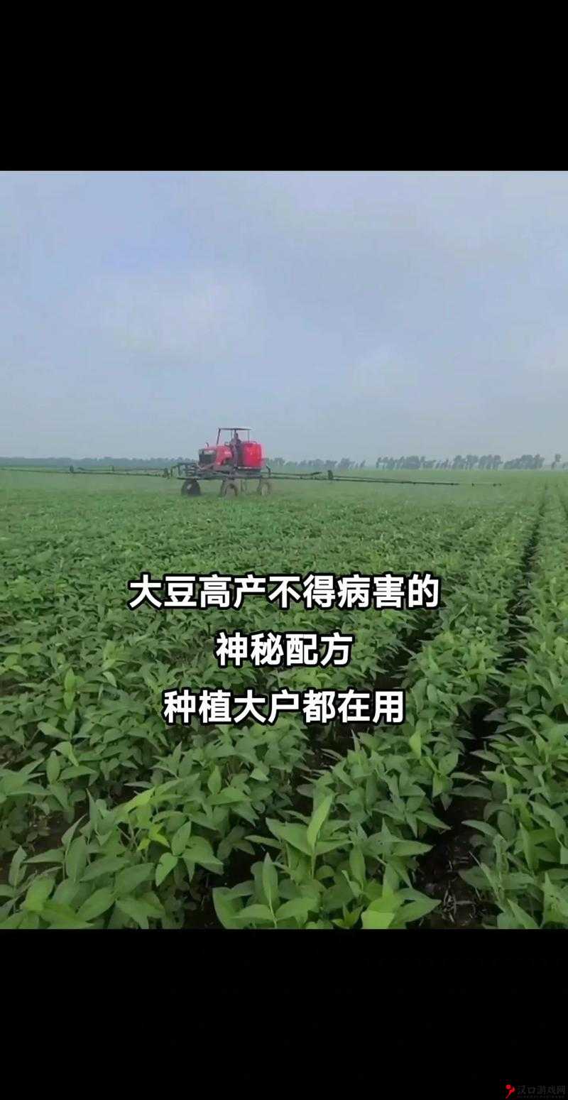 成熟 50wx 老狼大豆行情非常大气免费提供资源：探索大豆世界的精彩