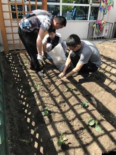 需要爸爸播种美国:这是一个奇特而令人费解的表述