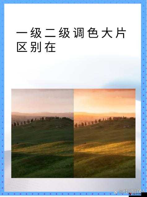 一级二级调色大片的区别和联系:深度解析与全面对比