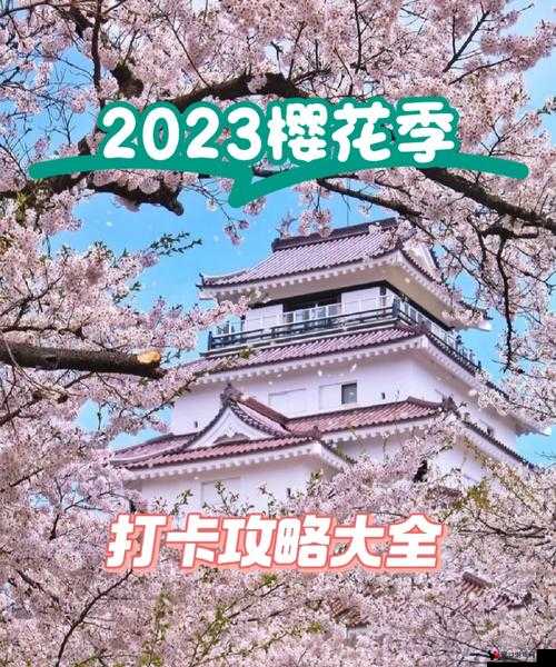 探索樱花官方正版官网入口 2023:畅享精彩内容与独特体验