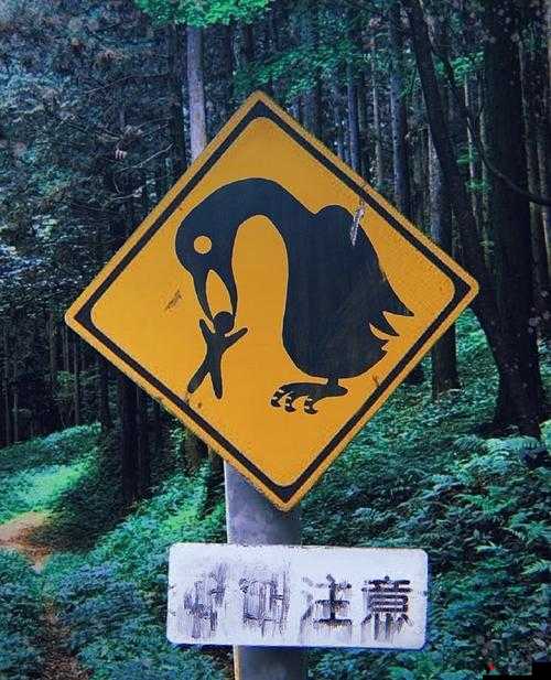 69sesese :一个神秘且引人好奇的特殊组合标识
