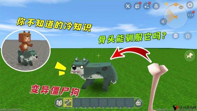 迷你世界,揭秘狼的驯服与收服秘籍