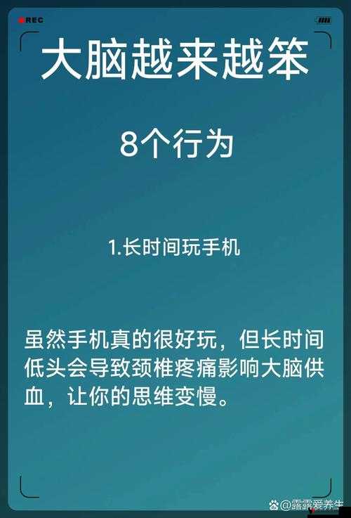 脑点子137攻略,解锁智慧碰撞的奥秘