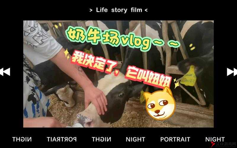 麻酥酥奶牛的奇妙之旅:探寻其独特魅力与故事