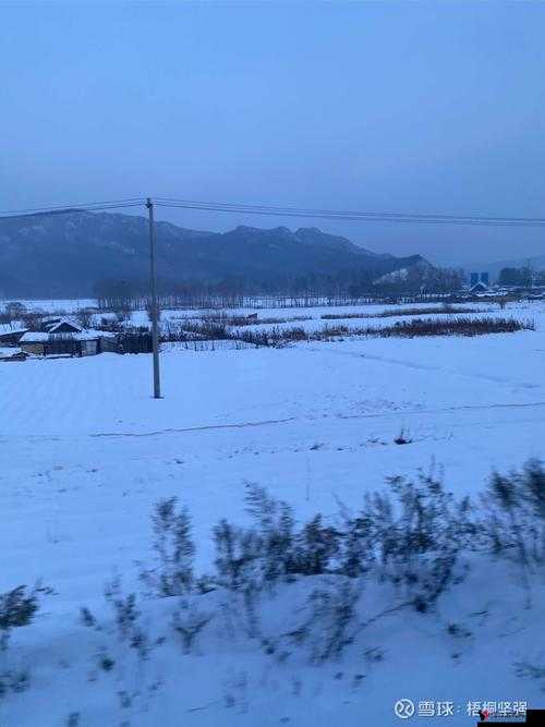 无人区编码 6229Jm 观天下事震撼升级评价:开启全新视野的精彩呈现