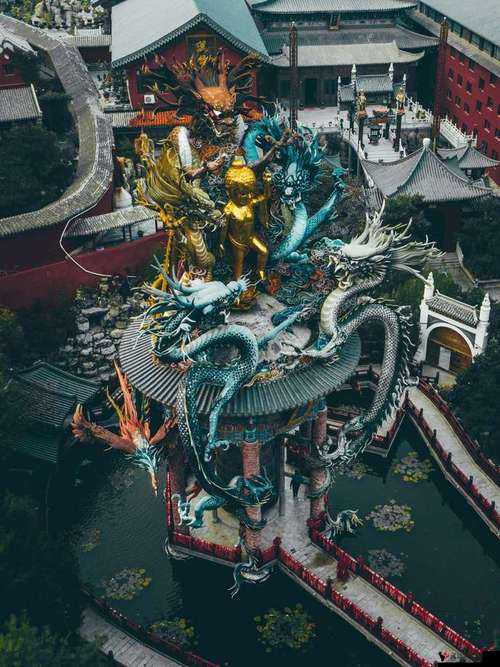 水帘白瀑如饥似渴一丛金黄排名再次被抢:背后的神秘力量与曲折故事