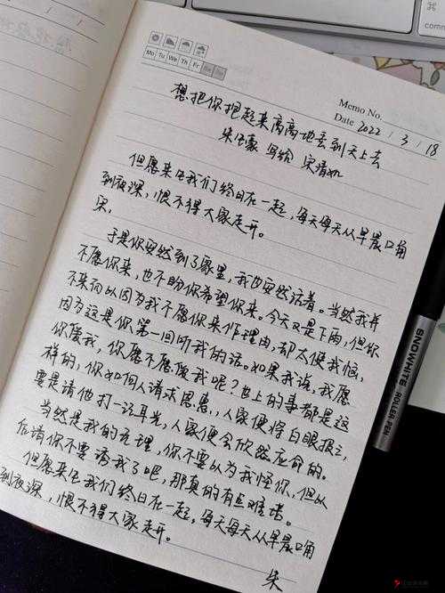 一支笔抄哭自己:探索情感表达的独特方式