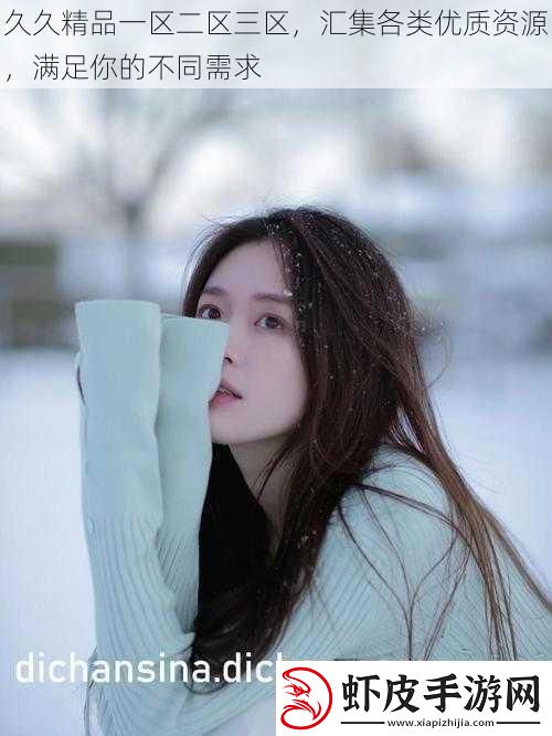 久久精品一区二区三区汇集各类优质资源满足你的不同需求
