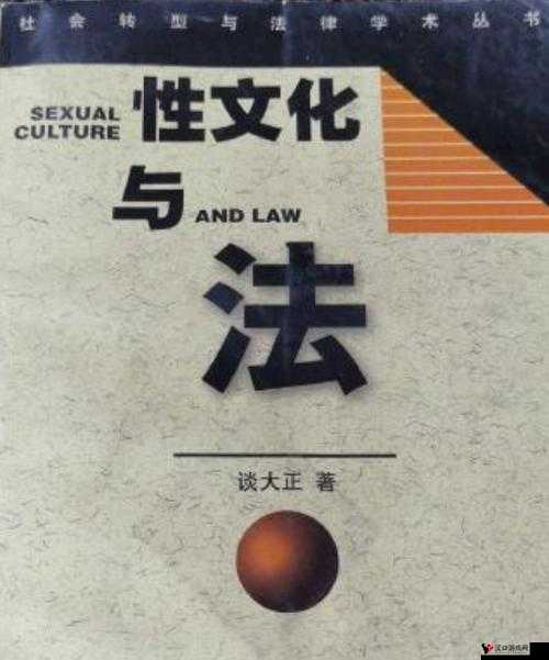 巴基斯坦男男 Gay 巨大粗 xX:探秘性文化与社会观念的交织