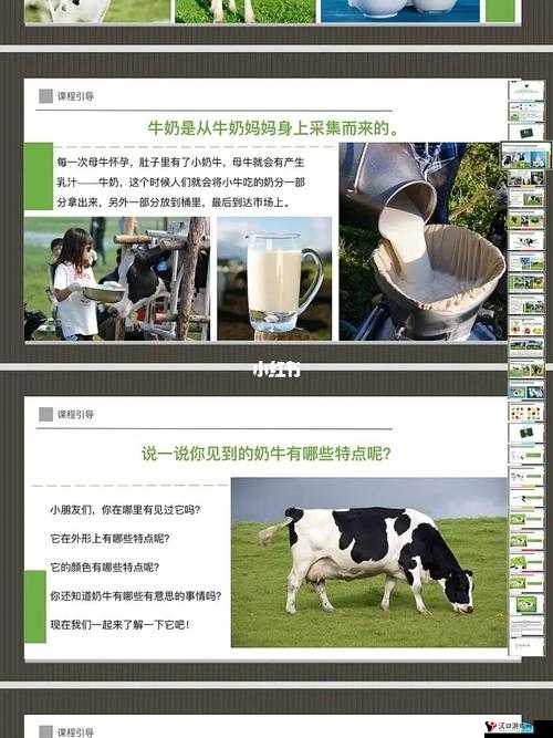 大奶牛福利导航:畅享优质福利资源的贴心指南