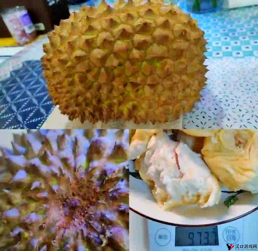 极具特色的 lll999 榴莲视频:独特魅力等你来探索