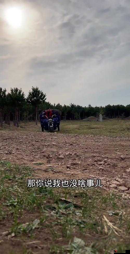 东北大叔 VLOG 以前视频:带你走进不一样的东北生活世界