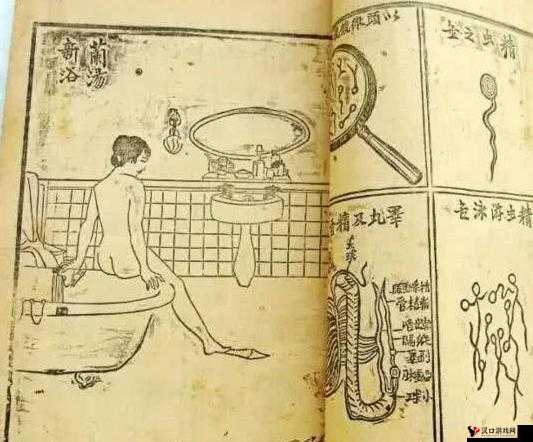 中国古代房中术专著：合阴阳的七十二式图示