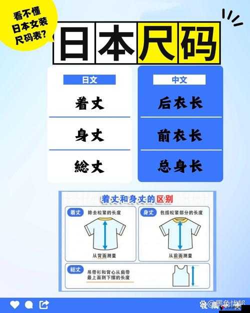 欧美尺码日本尺码专线美国:深入探究其独特魅力与市场影响