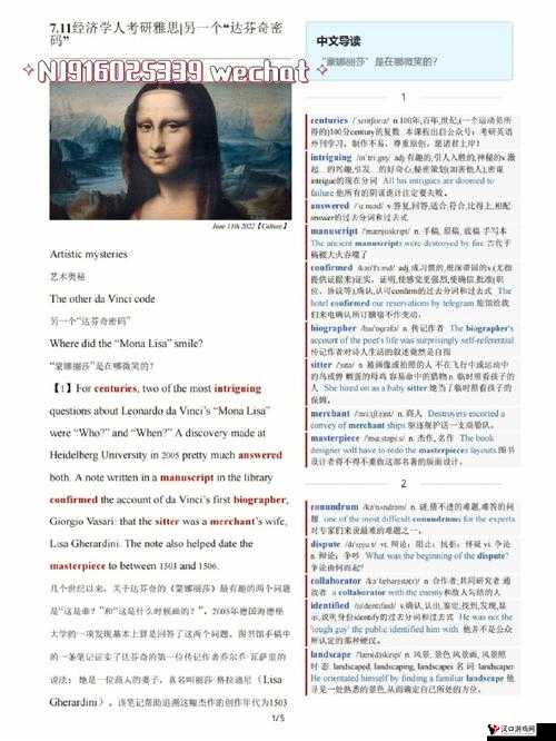 达芬奇软件激活密钥:探索其背后的神秘与获取之道