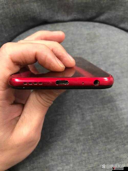 Y31 成色鉴定:一眼看穿真伪的秘密武器