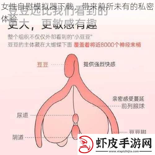 女性**模拟器下载