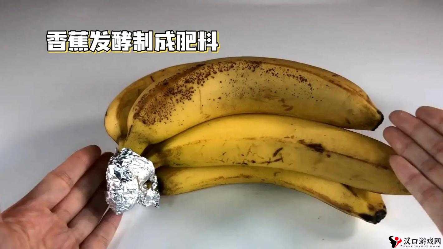 老司机带带我香蕉送给你是什么歌:探究其背后的文化内涵与音乐魅力