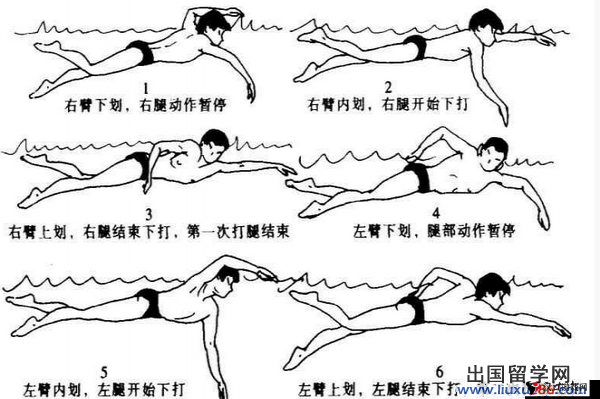 吴梦梦教练在线指导学游泳:专业技巧与实用建议