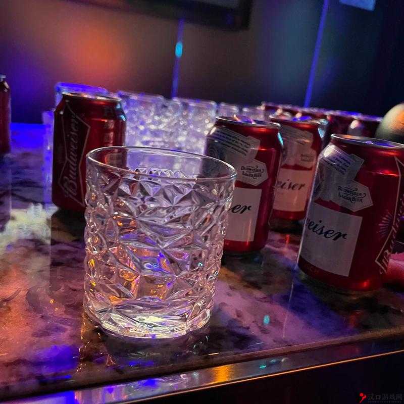 卧虎藏龙2,探寻那三杯醉人心酒的奇妙之旅