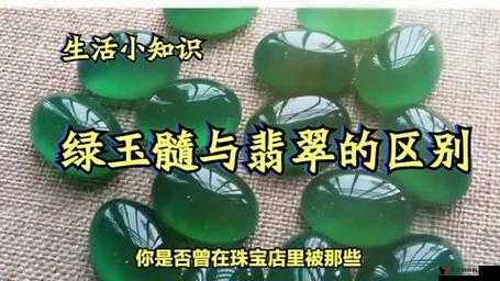 精产国品一区别视频:其特点与差异