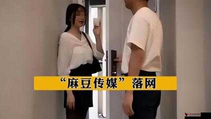 麻豆传煤2021精品相关内容介绍及分析