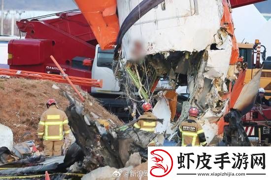 多张韩国空难现场照曝光
