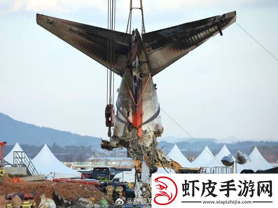 多张韩国空难现场照曝光