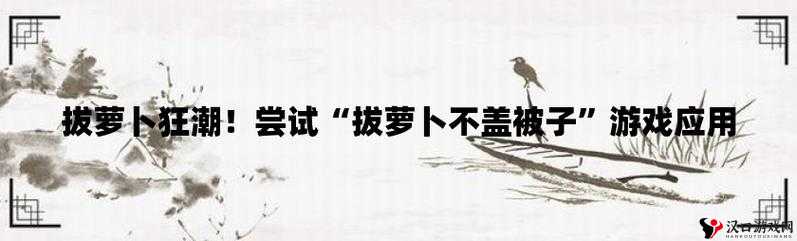 拔萝卜打牌不盖被子：一场冬日里的温暖游戏