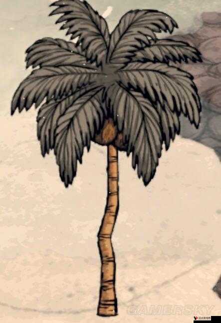 饥荒椰树叶的用途与管理策略