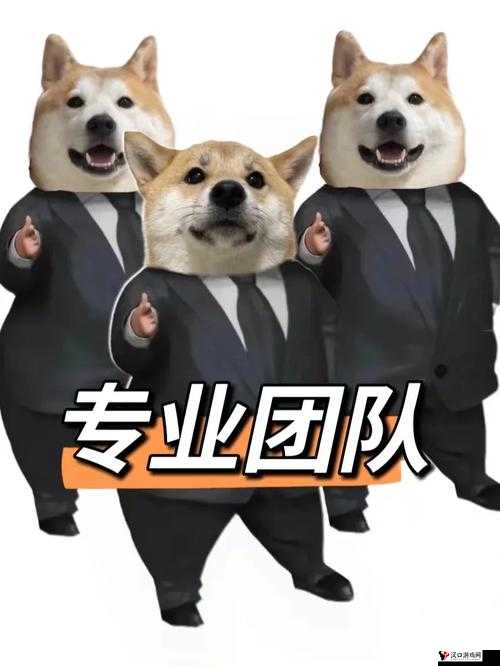 大但人文但汾company:致力于打造优质文化服务的专业团队