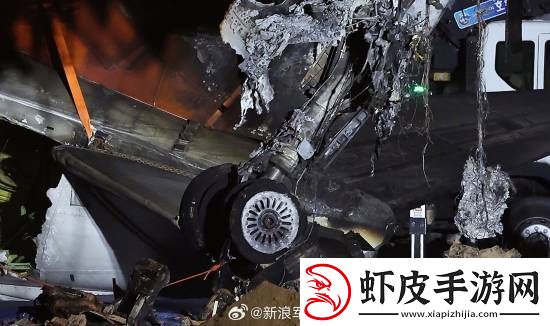多张韩国空难现场照曝光