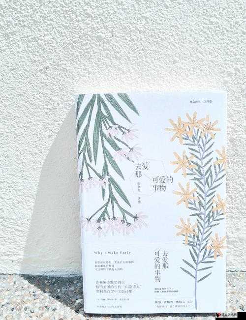 啊好痛嗯轻一点系统:探索极致体验与温柔呵护的奥秘
