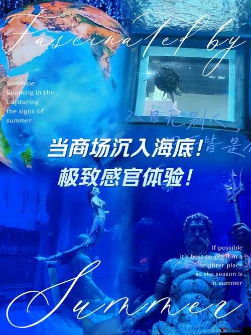 欧美 Videossexo 高潮:极致感官体验的探索与畅享