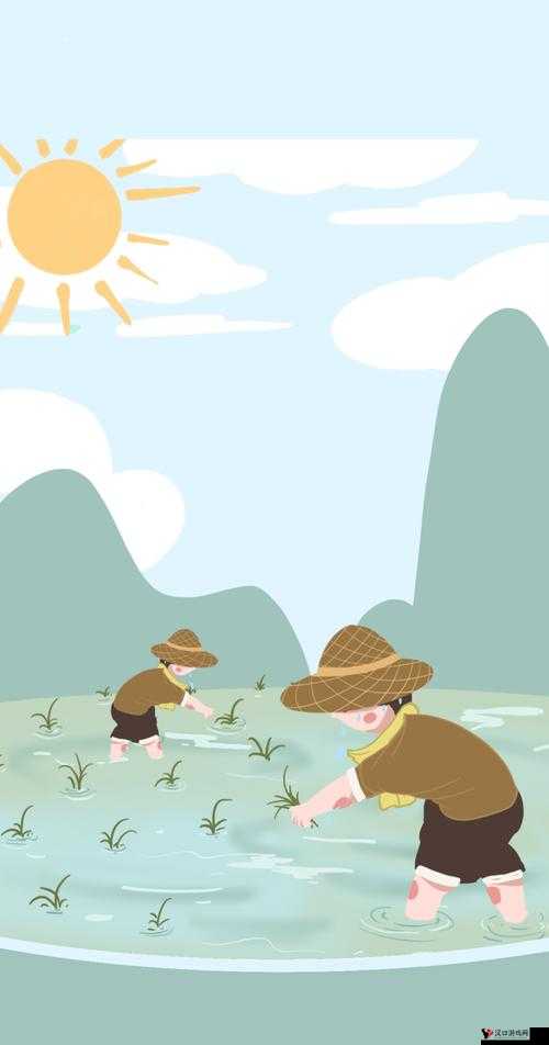 24 种男女插秧法：传统农耕技艺的**智慧