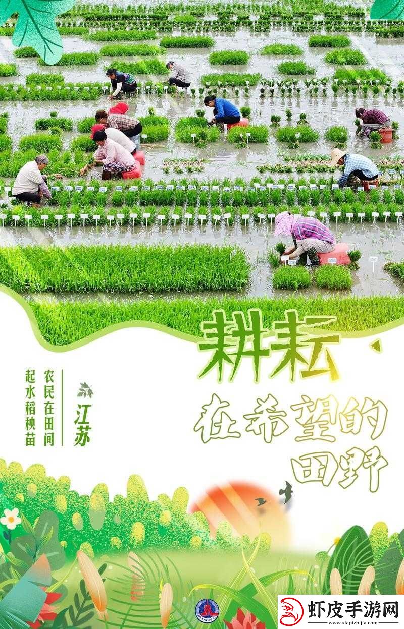 耕种妈妈肥沃的土地