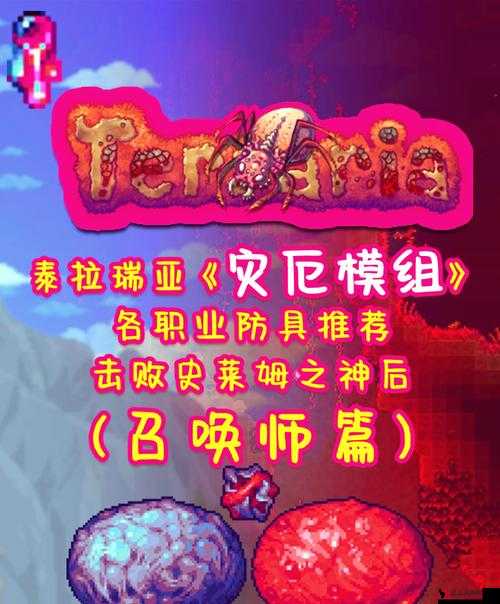 泰拉瑞亚粉色史莱姆，资源管理与利用的深度解析