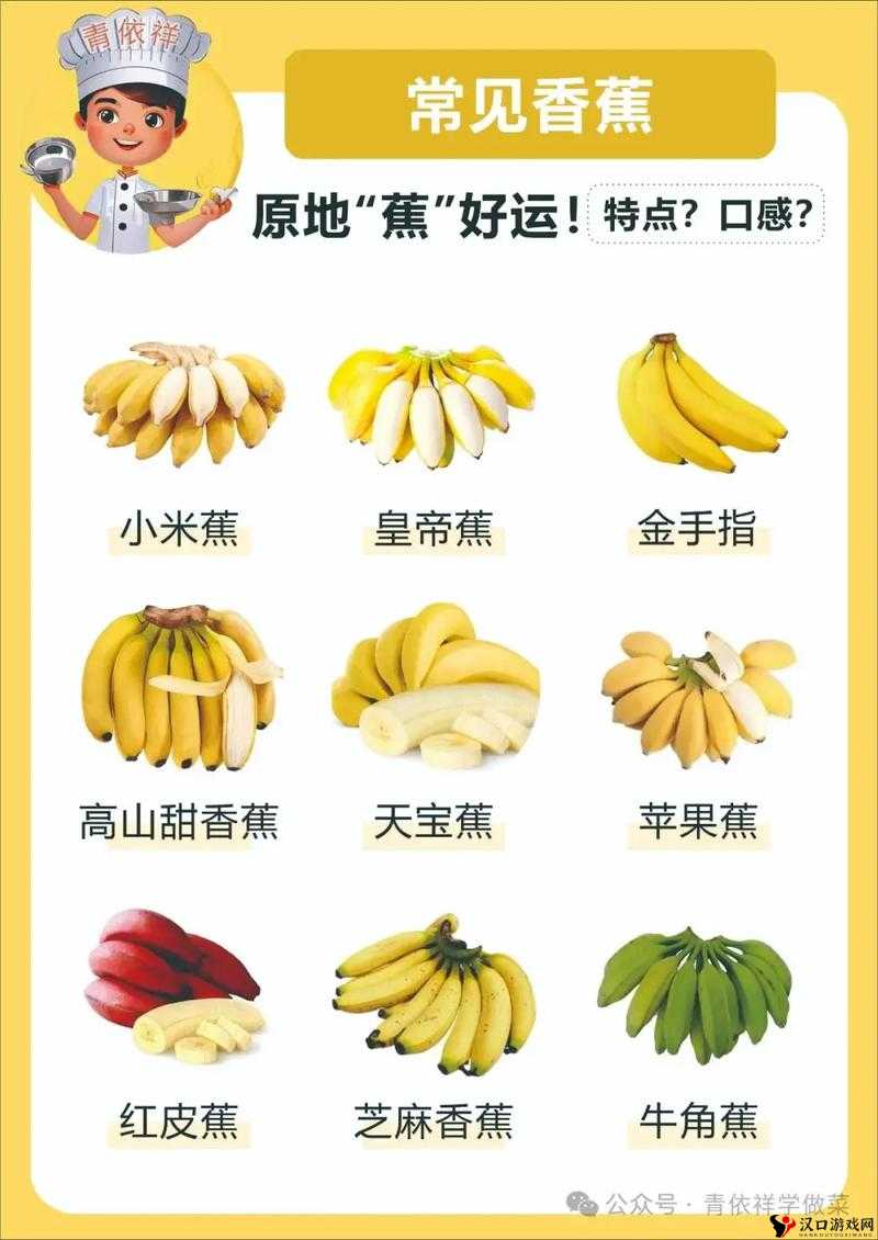大香蕉XXXX:带你探索独特的水果世界与美味奥秘