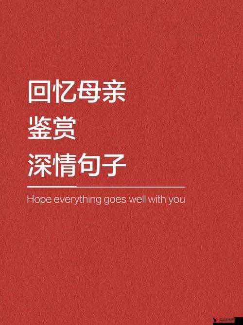 卡一卡二卡三专区朋友妈妈:那些难忘的温暖瞬间与深情回忆