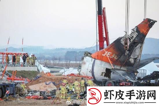 多张韩国空难现场照曝光
