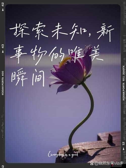 毛片软件的另类使用指南:探索未知的私密世界