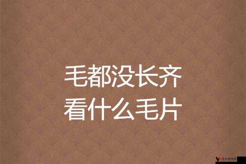 毛片毛片是个毛片但需正确看待其存在意义